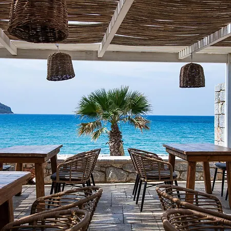 Itilo Traditional Néon Oítilon